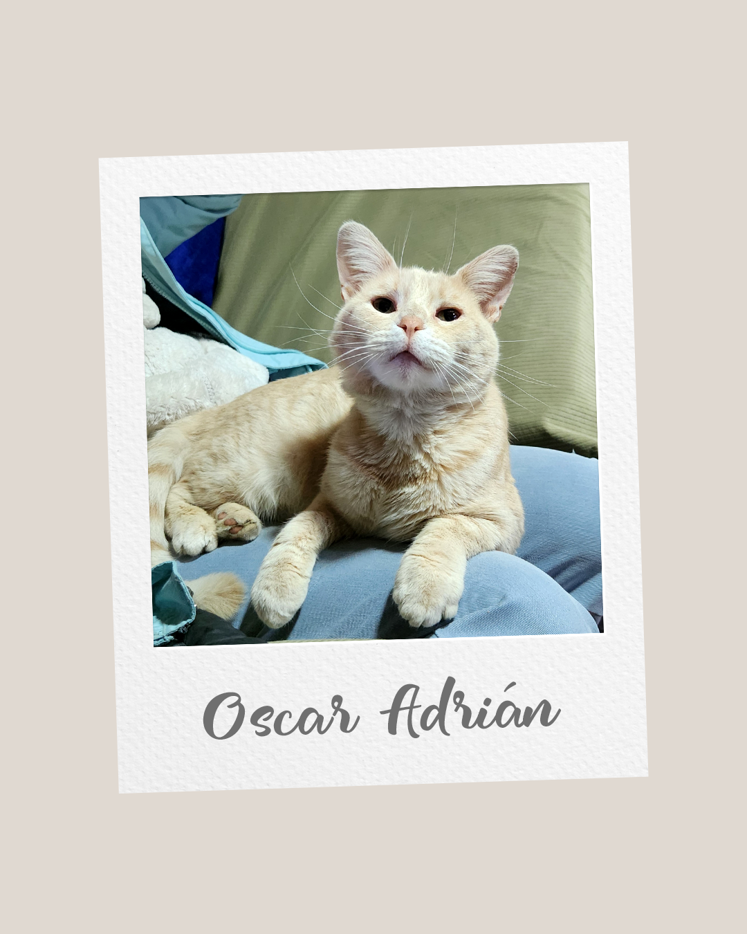 Pets Oscar Adrian.png