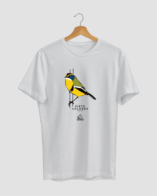 POLERA SIETE COLORES