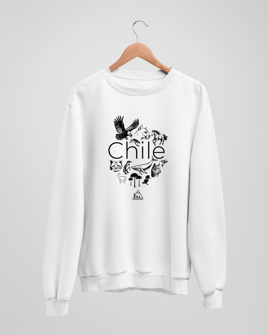 POLERÓN FAUNA CHILE POLO