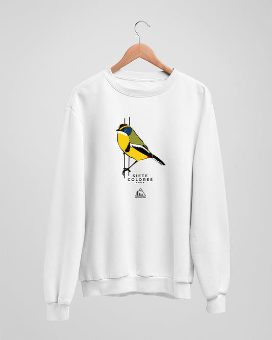 POLERÓN SIETE COLORES POLO