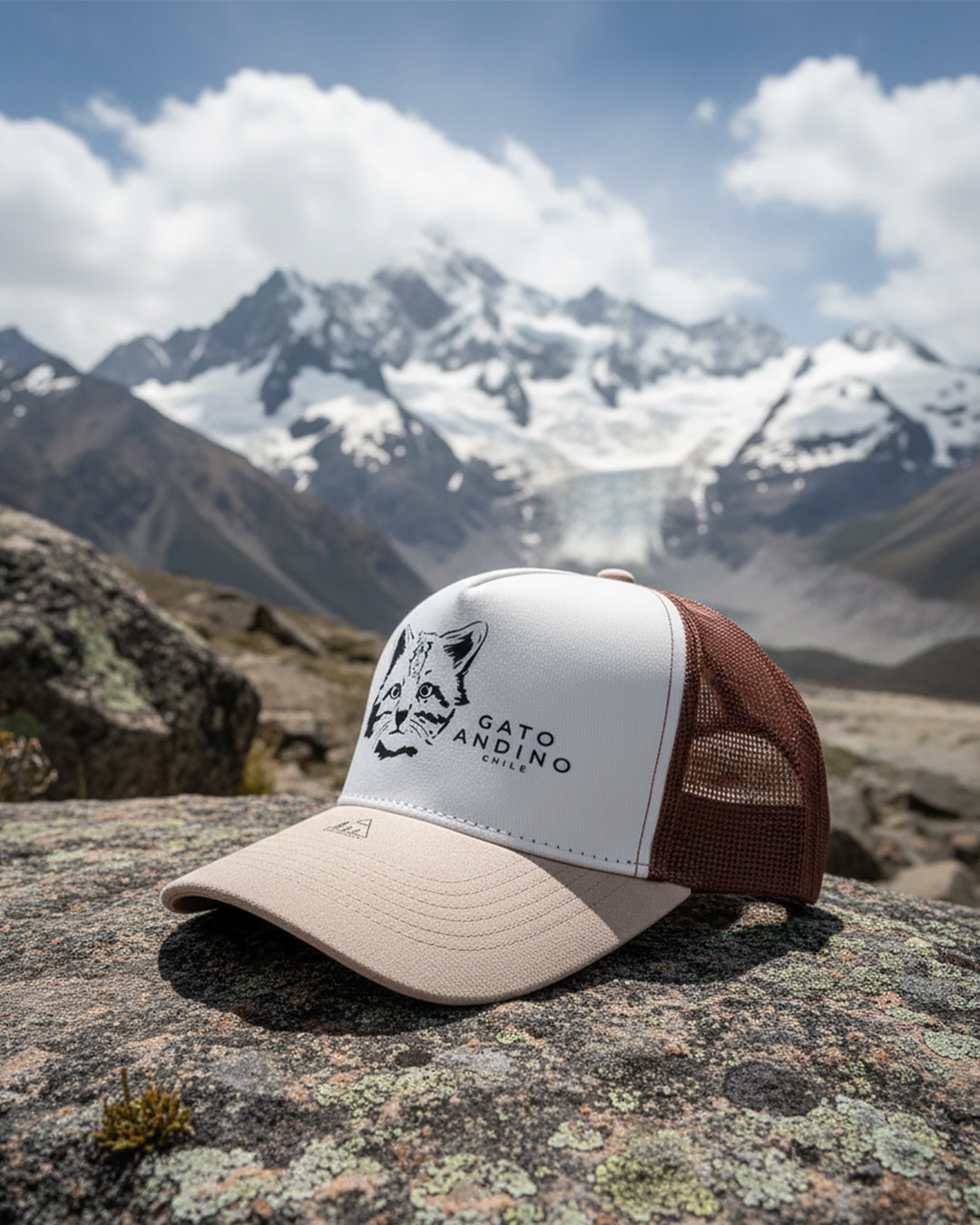JOCKEY GATO ANDINO