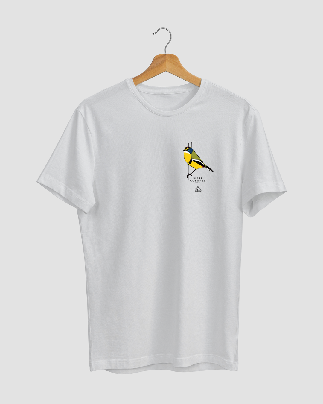 POLERA SIETE COLORES