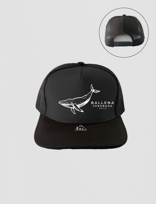 JOCKEY BALLENA JOROBADA