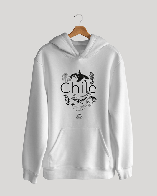 POLERÓN FAUNA MARINA CHILE